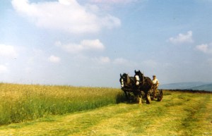 Fred Handford Ball Beard Farm