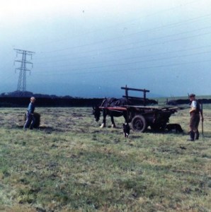 The Stranger In My Life