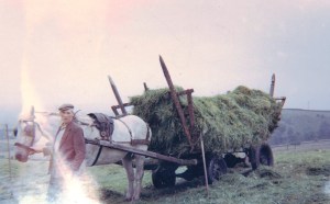 Fred Handford, Ball Beard Farm