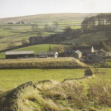 Ball Beard Farm, Fred Handford