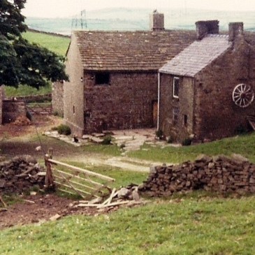 Ball Beard Farm, Fred Handford