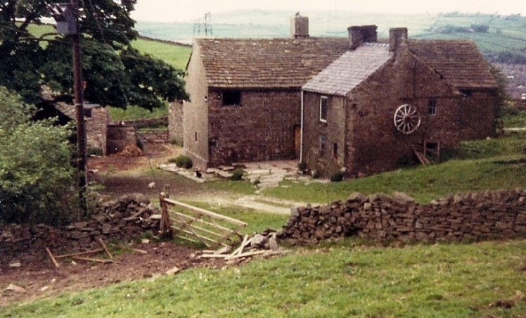 Ball Beard Farm, Fred Handford