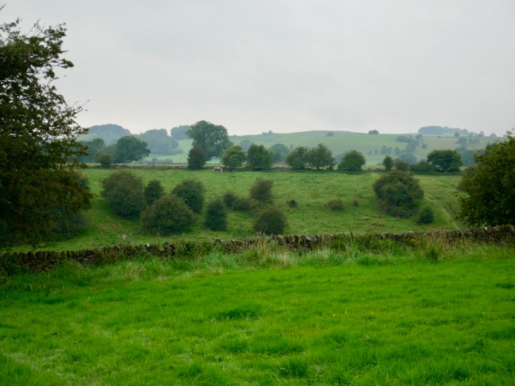 CRVk6QpHTSqxV7ZZt%agXg_thumb_7ea