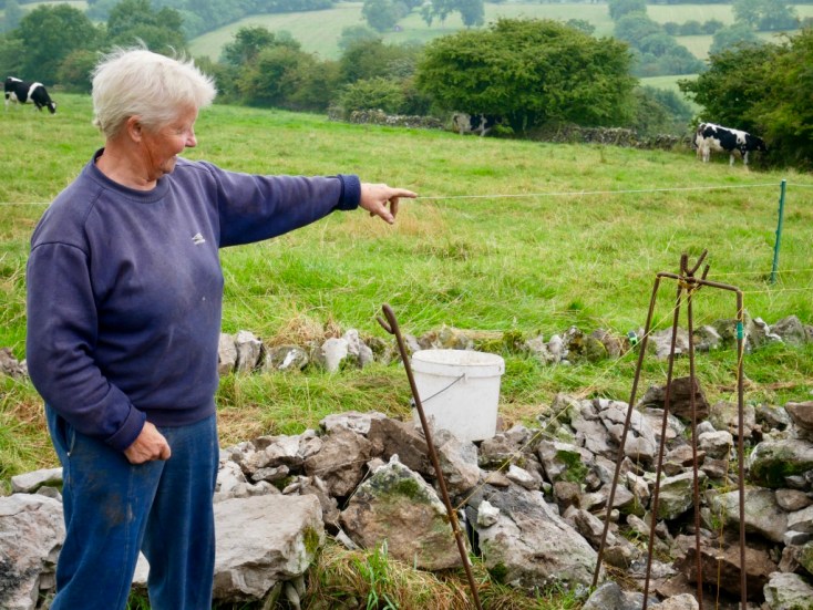 Janet Holt; dry stone walls